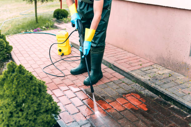 Best Dumpster Area Cleaning  in Braidwood, IL